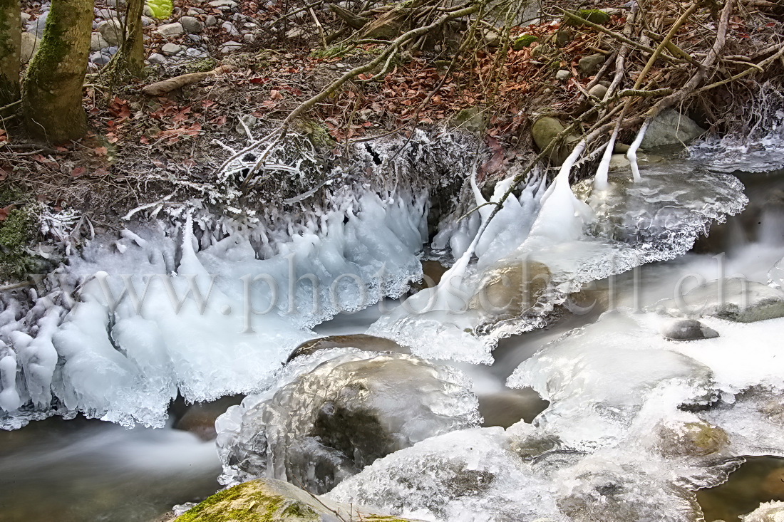 Sculptures glacées dans le ruisseau