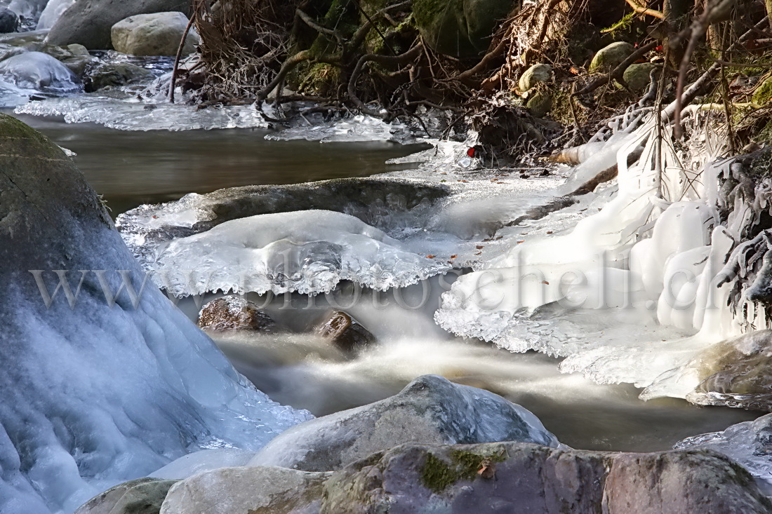 Sculptures glacées dans le ruisseau