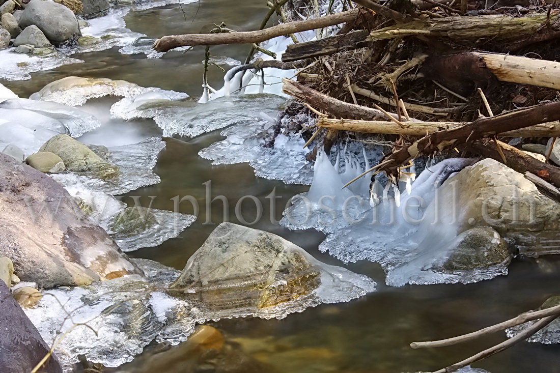 Sculptures glacées dans le ruisseau