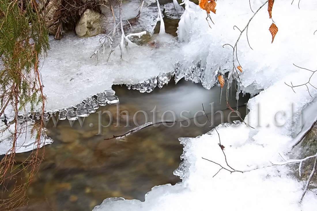 Filet d\'eau entouré de glace