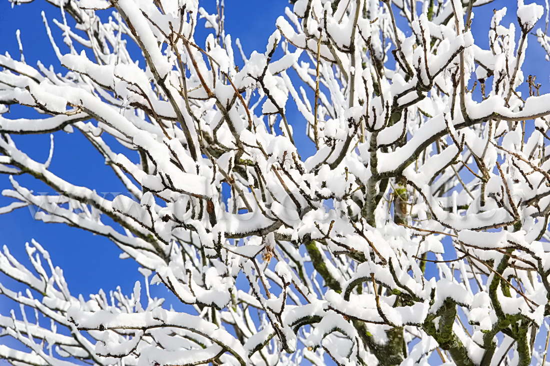 Contrastes de couleurs entre la neige et le ciel