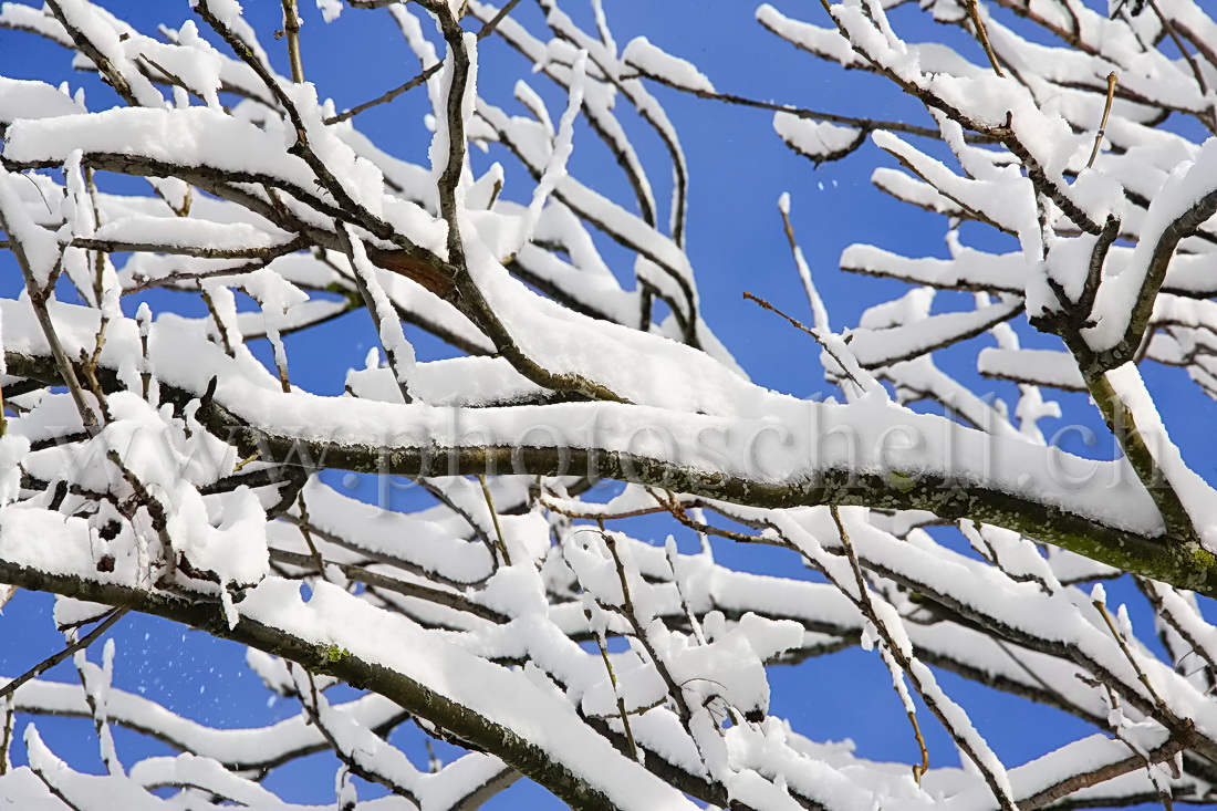 Contrastes de couleurs entre la neige et le ciel