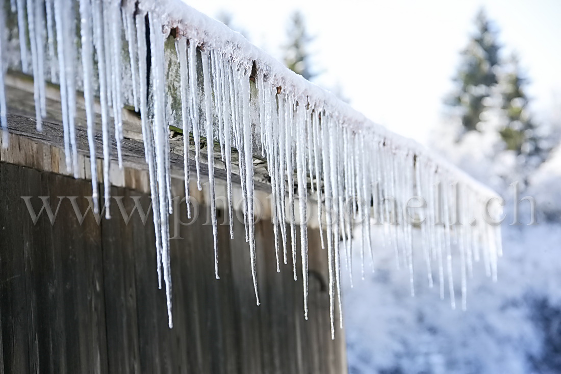 Stalagmites de glace sur les monts