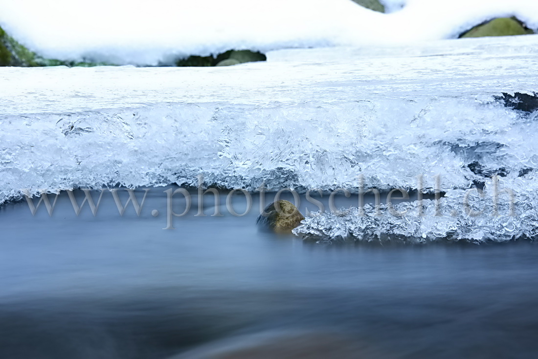 Glace affleurant l'eau