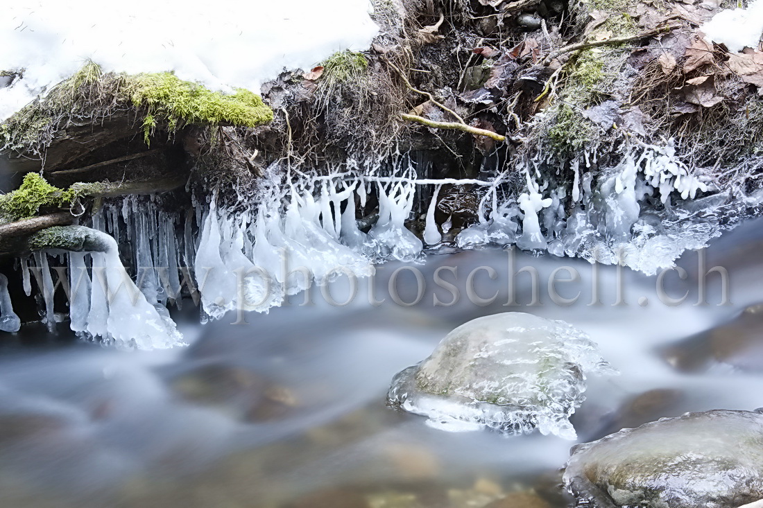 Ruisseau et ses sculptures de glace