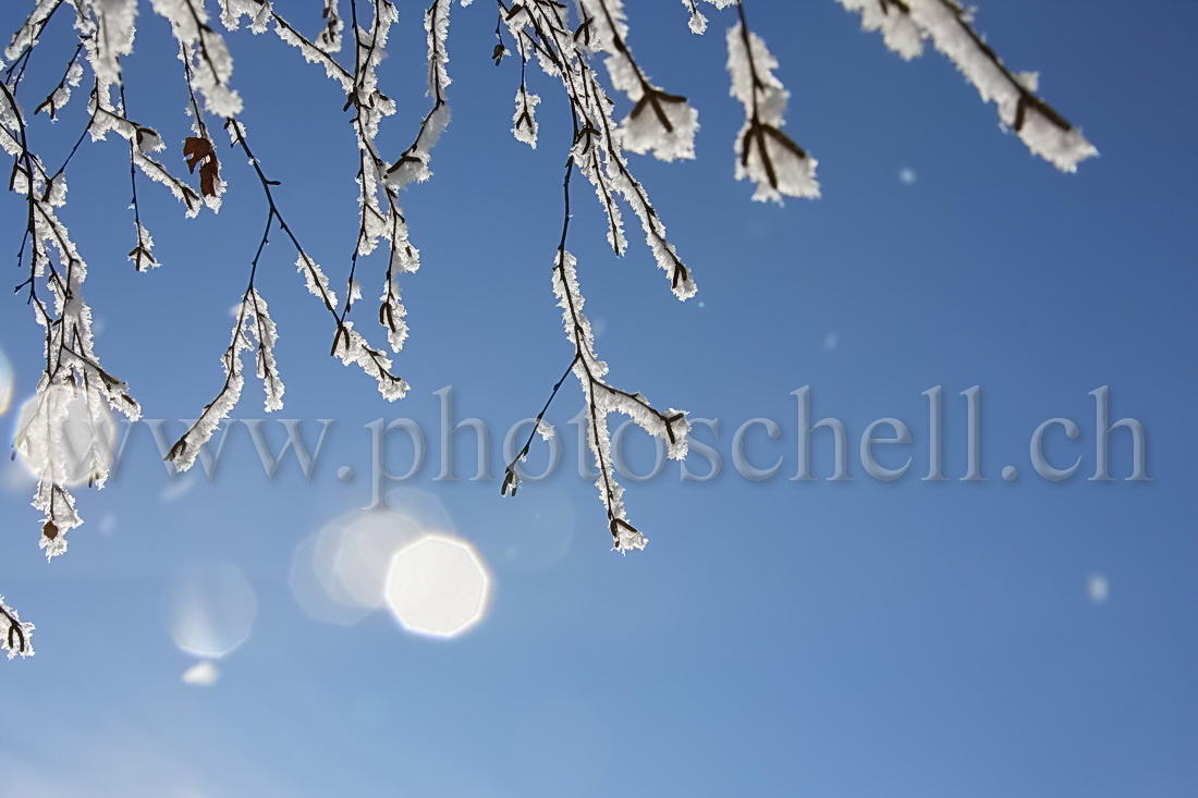 Chute de givre au soleil