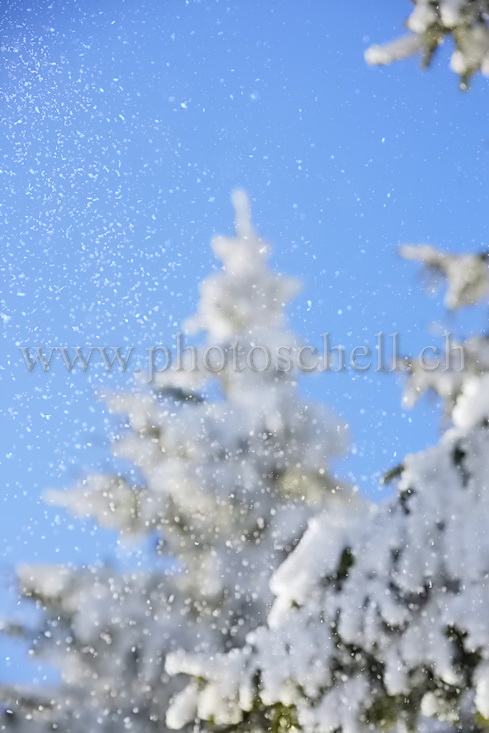 Chutes de givre dans les cimes