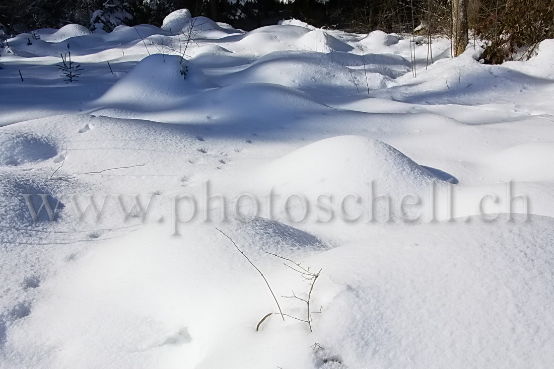 Neige de printemps