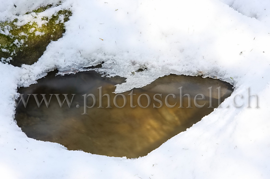 Glace  au-dessus du ruisseau