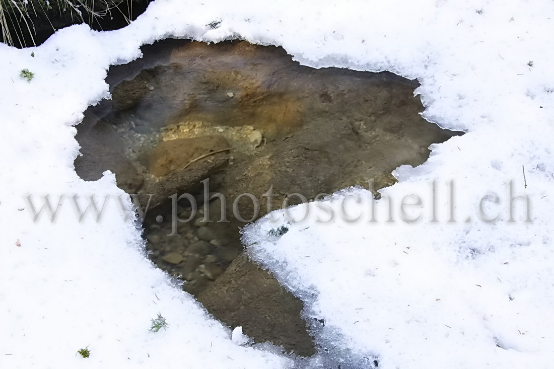 Glace  au-dessus du ruisseau