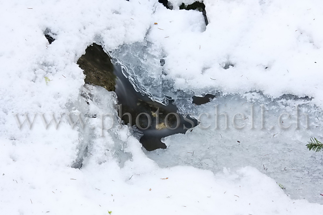 Glace  au-dessus du ruisseau