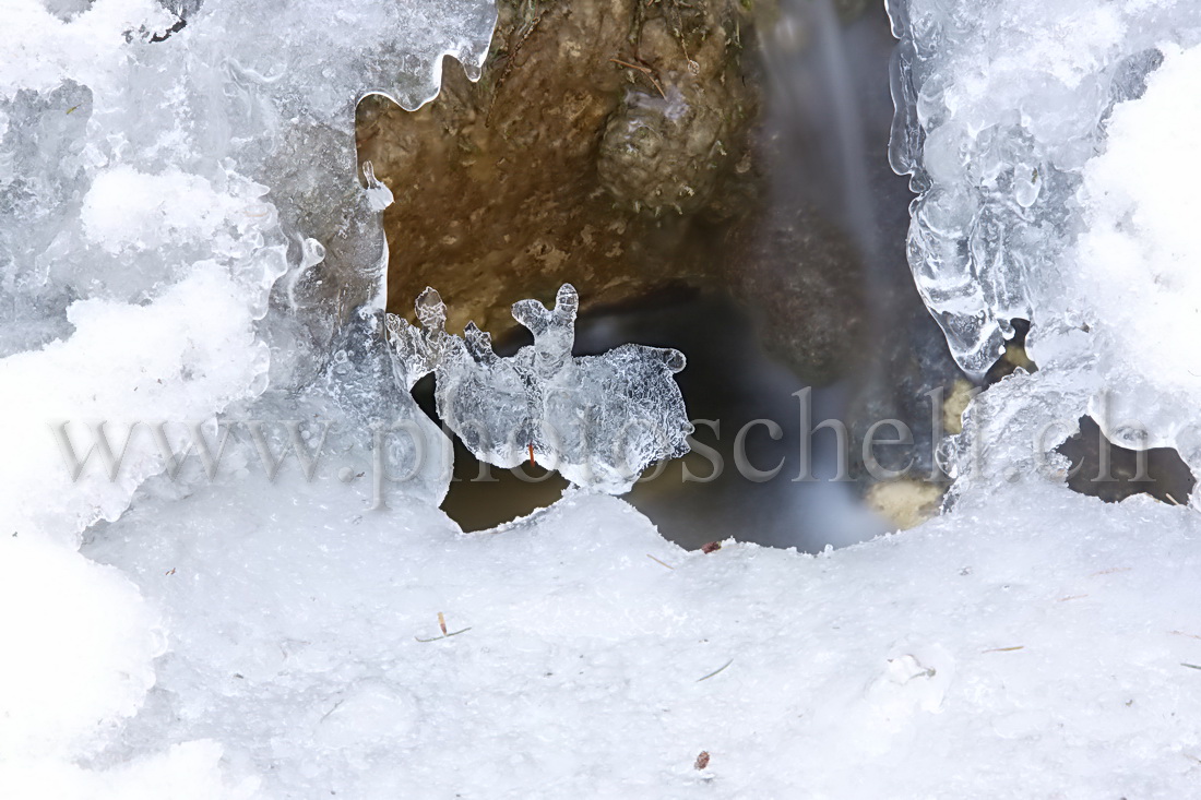 Glace  au-dessus du ruisseau