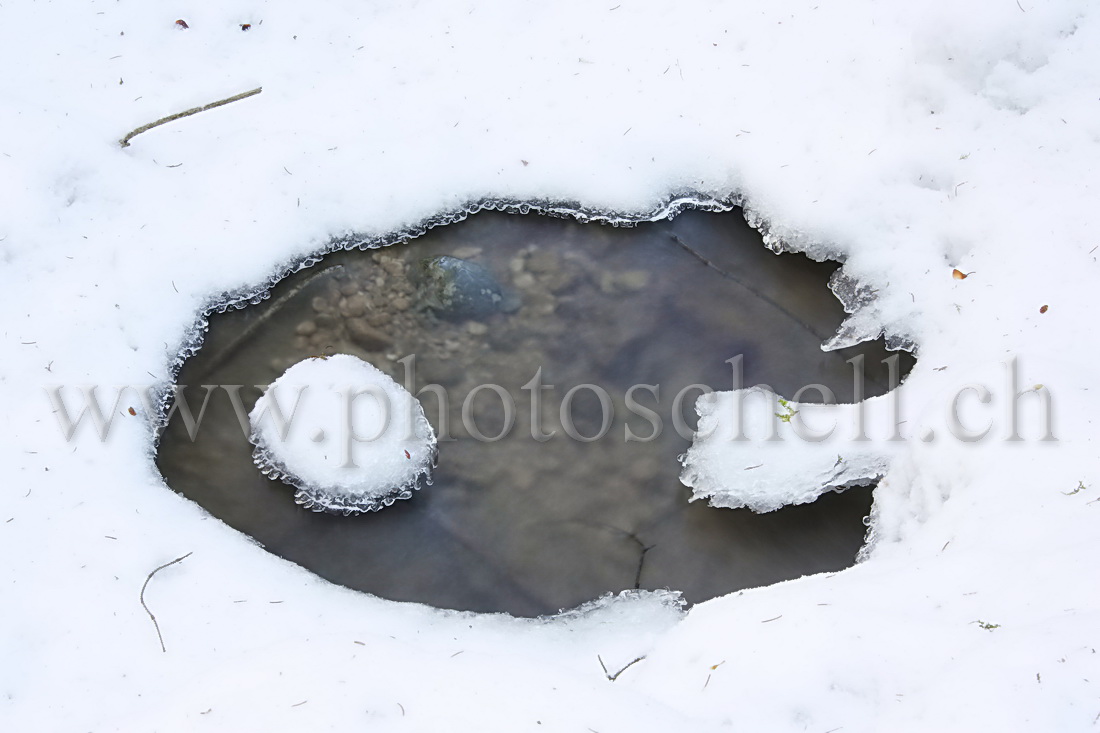 Glace  au-dessus du ruisseau