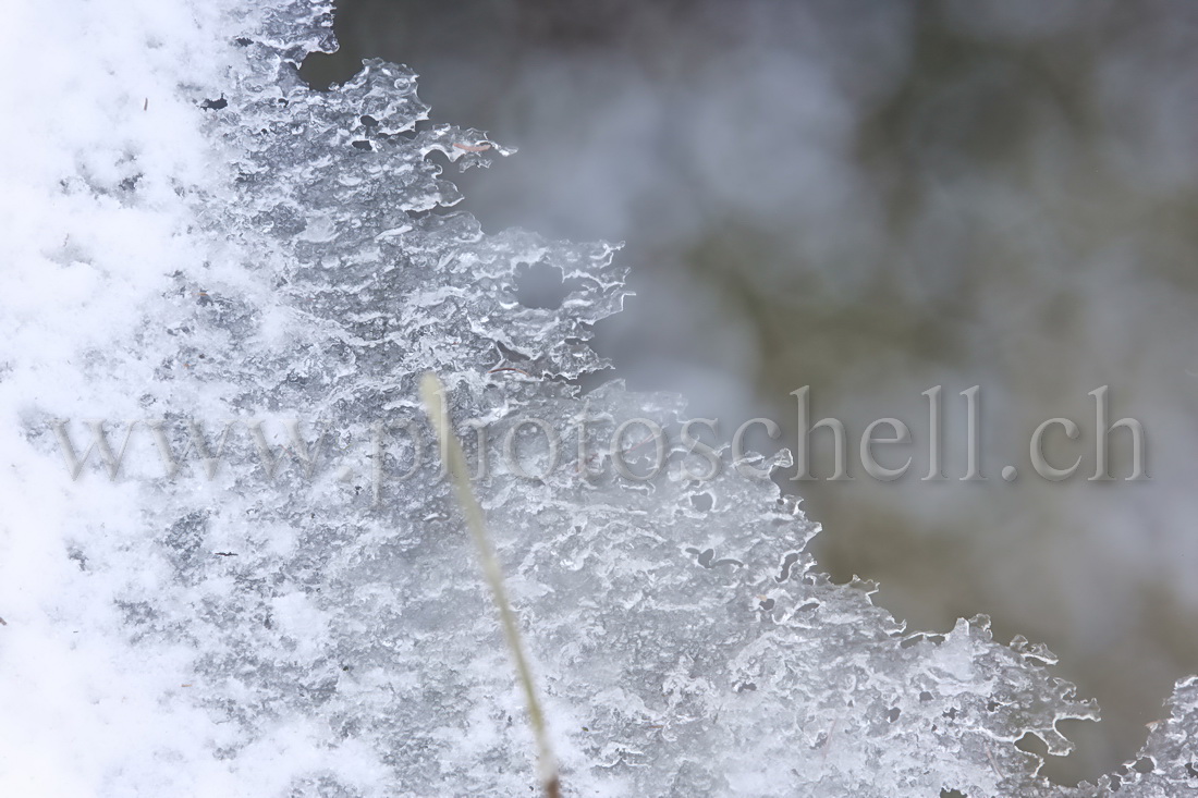 Glace  au-dessus du ruisseau