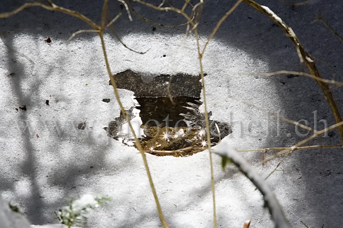 Glace au-dessus du ruisseau