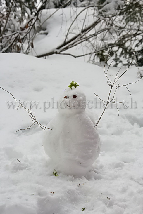 Bonhomme de neige