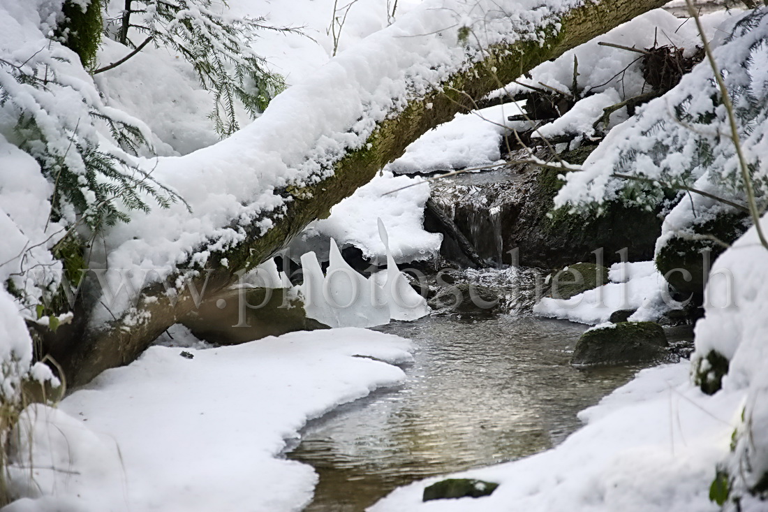 Ruisseau et ses formes de glace