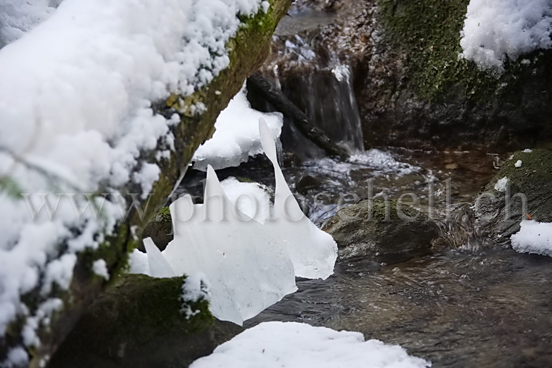 Ruisseau et ses formes de glace