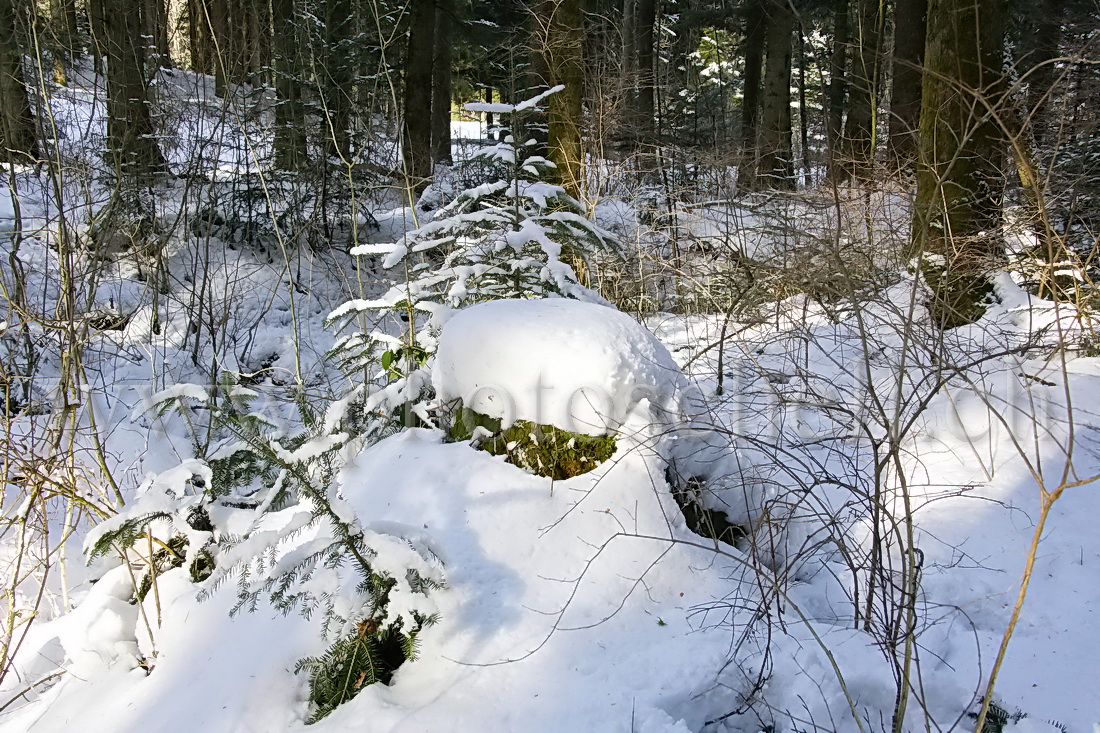 Ruisseau et ses formes de glace