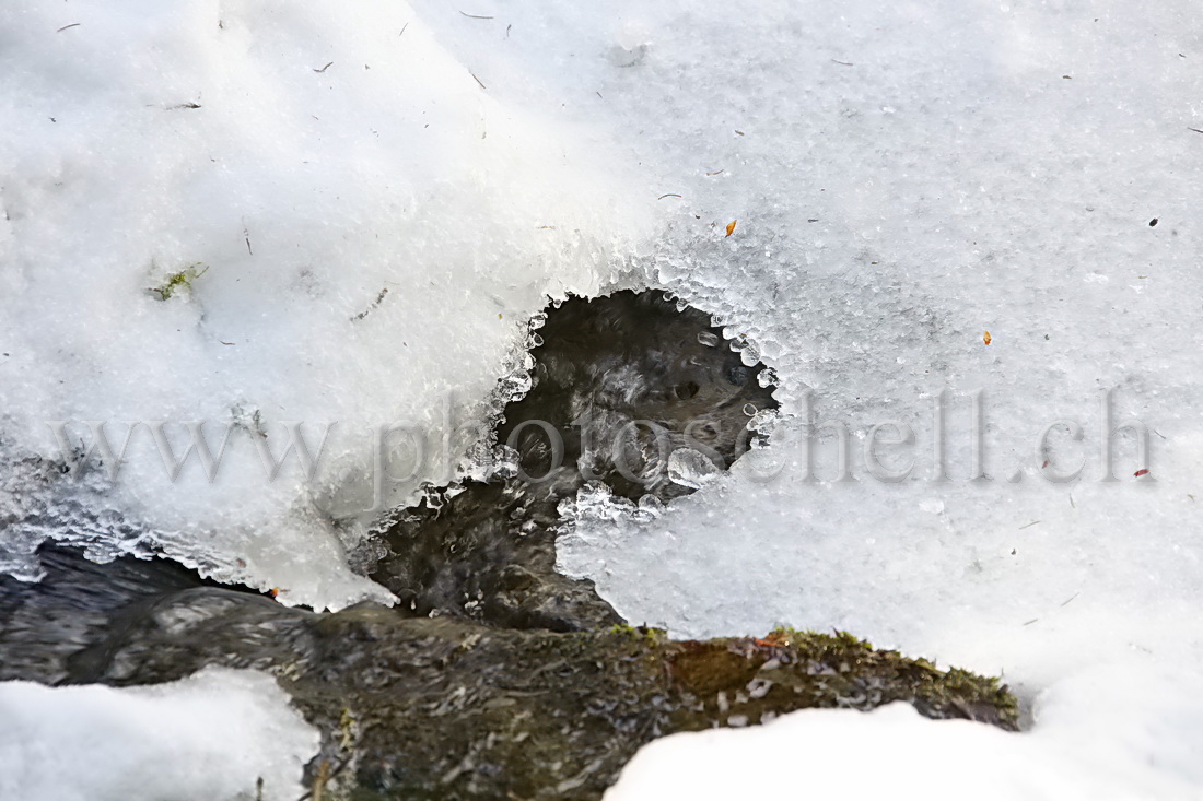 Ruisseau et ses formes de glace