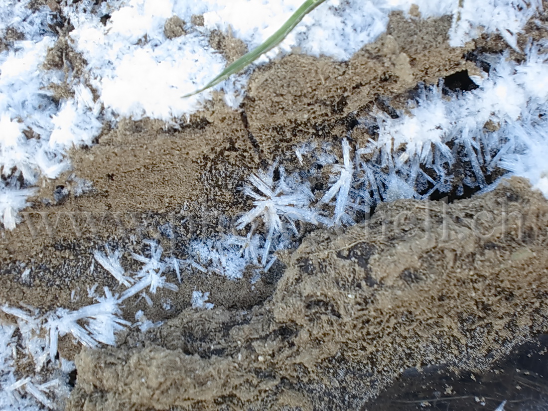 Cristaux de glace