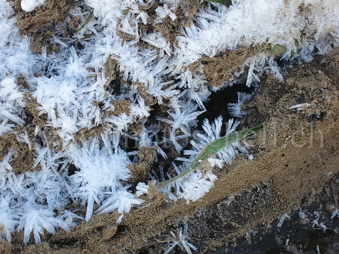 Cristaux de glace