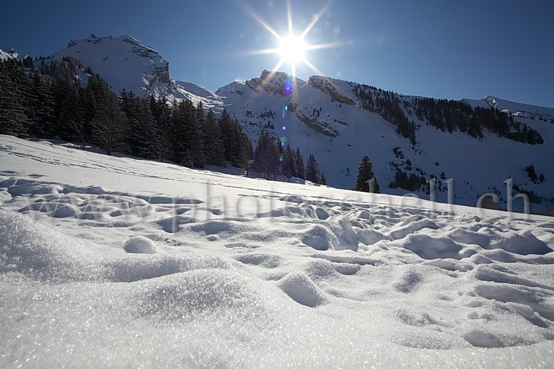 Soleil sur la neige