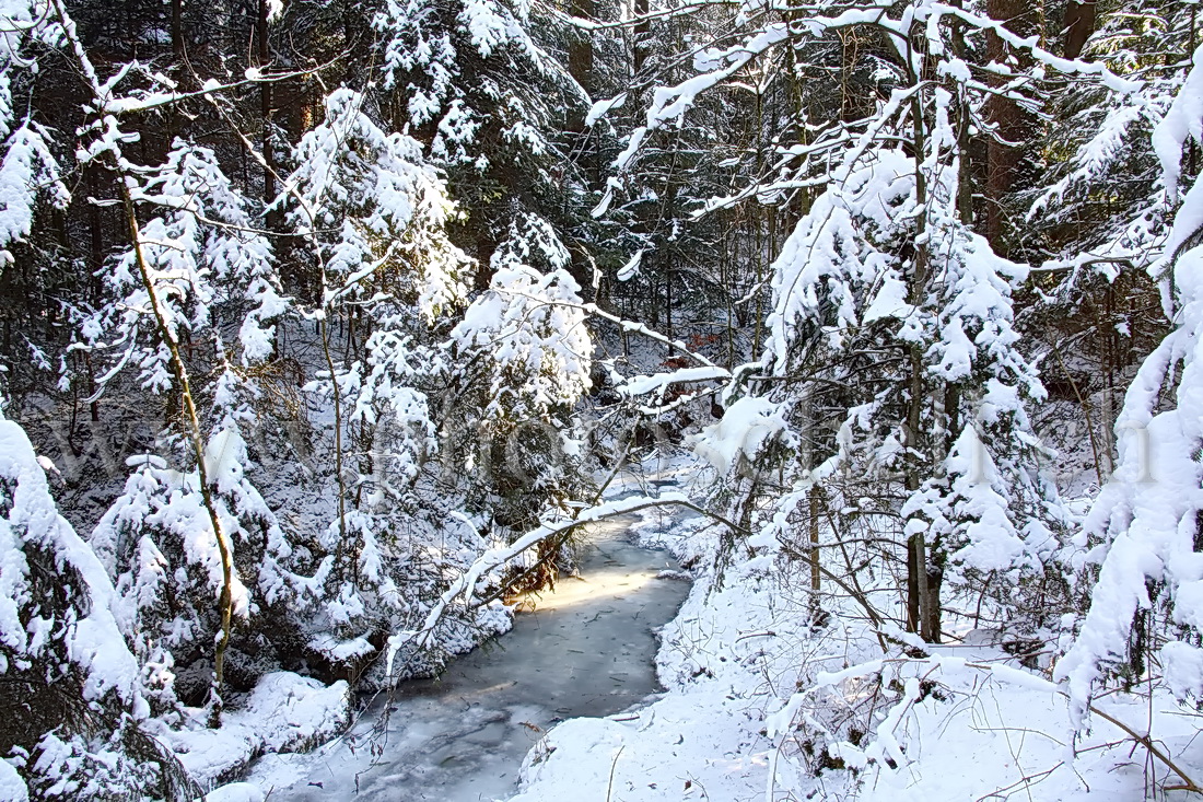 Rayon de soleil sur la rivière glacée