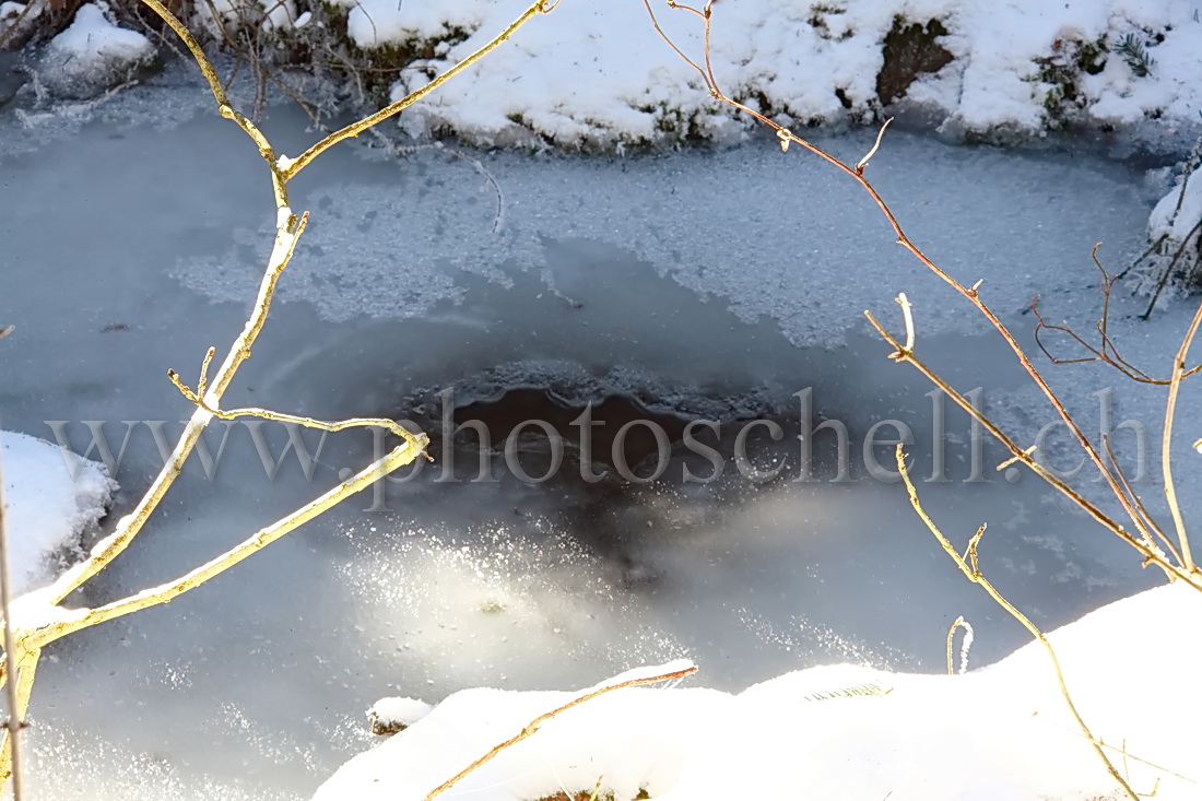 Ruisseau glacé