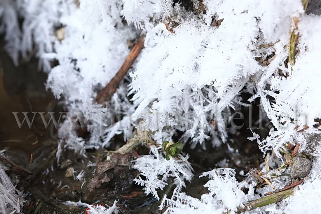 Cristaux de glace