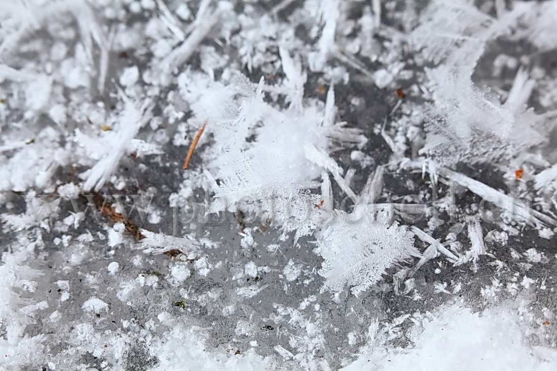 Cristaux de glace