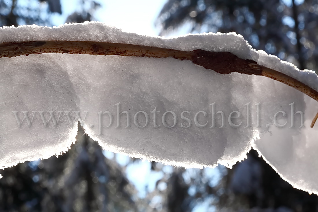 Cristaux de glace