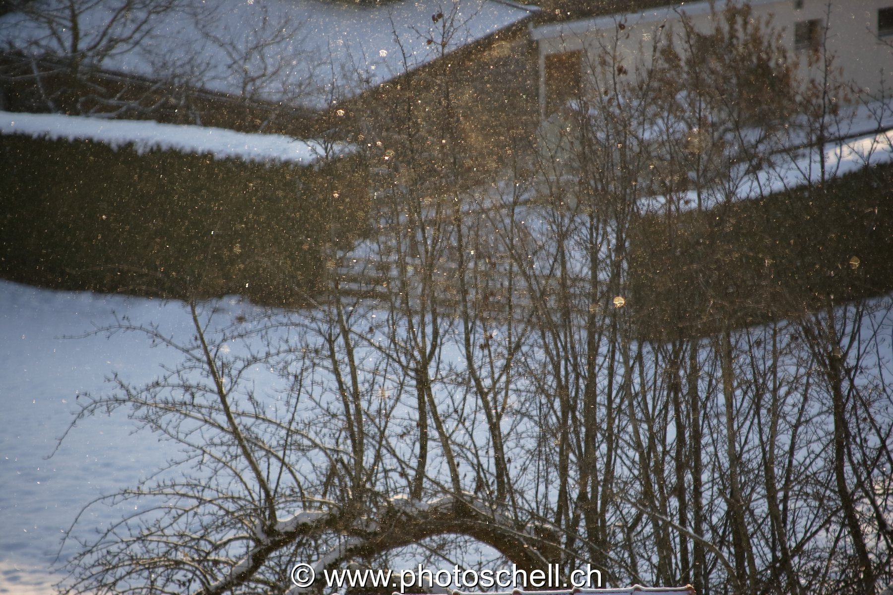 Reflets du soleil sur la neige qui tombe