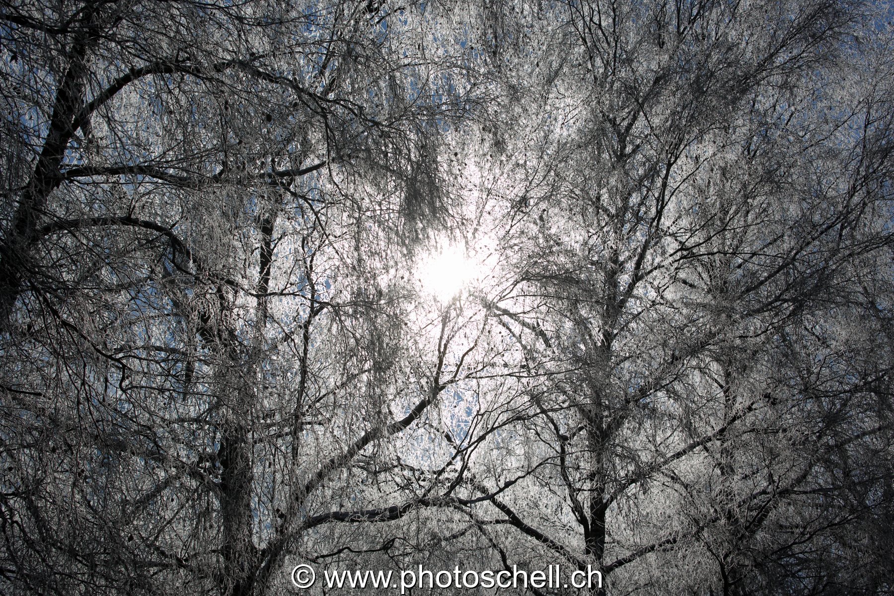 Givre