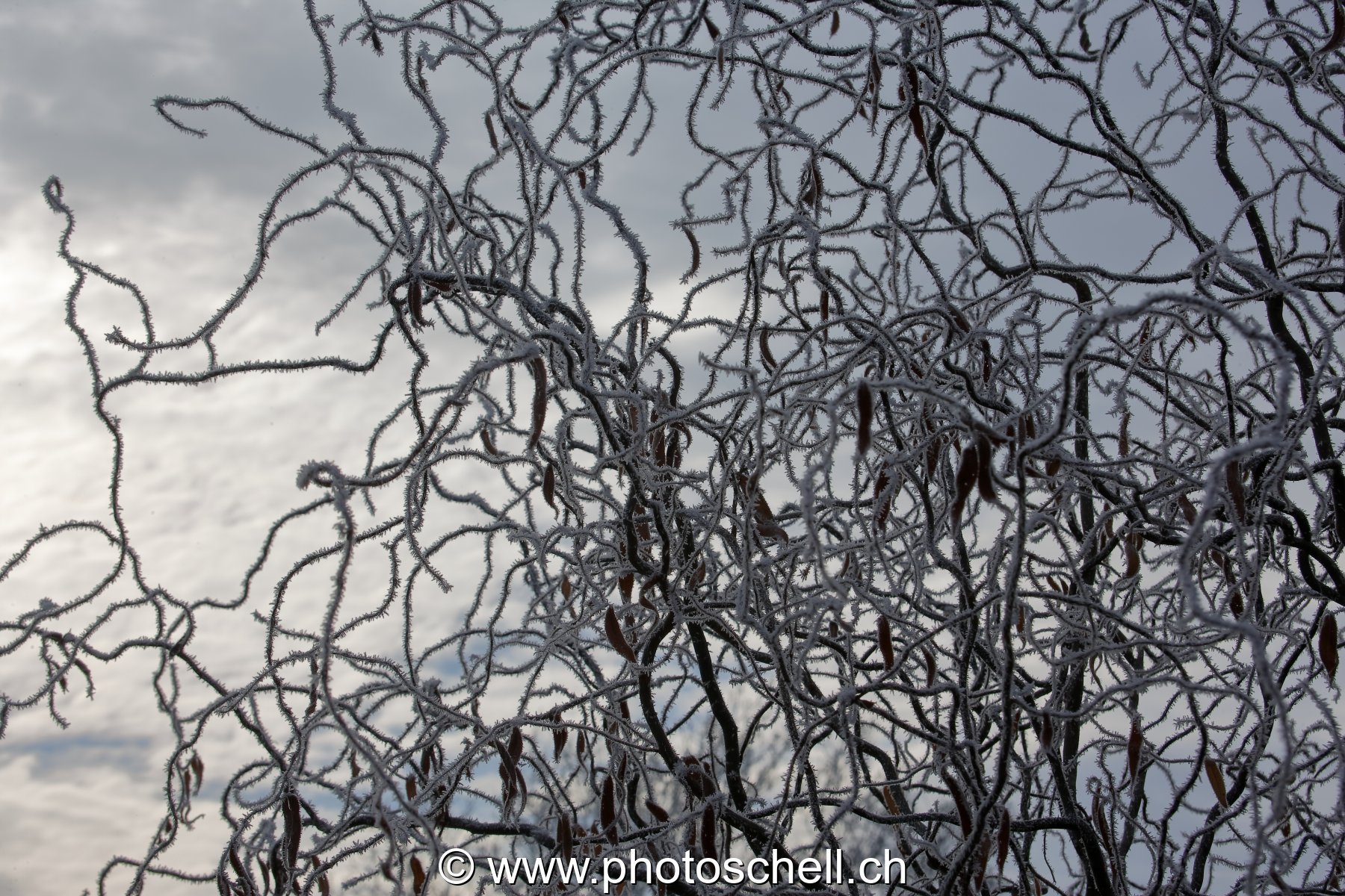 Givre