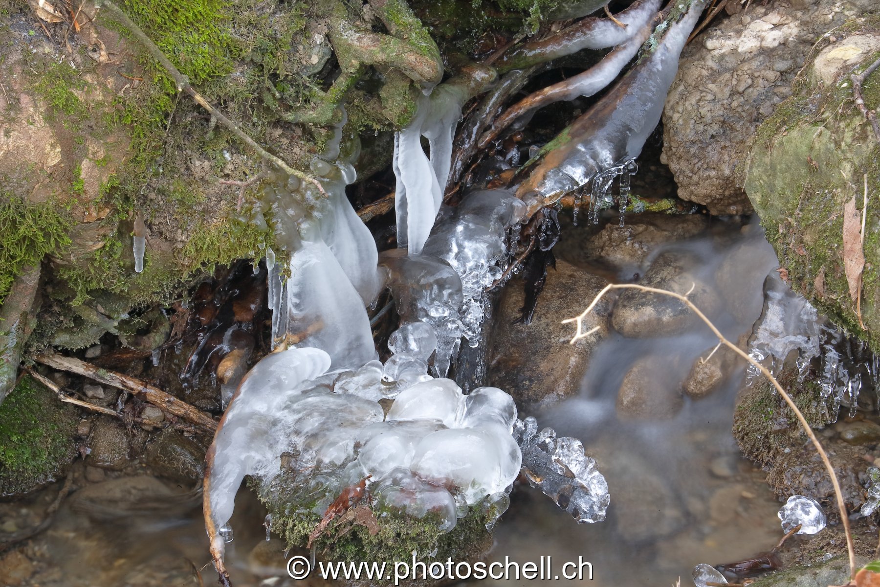 Glace dans le ruisseau de Marsens