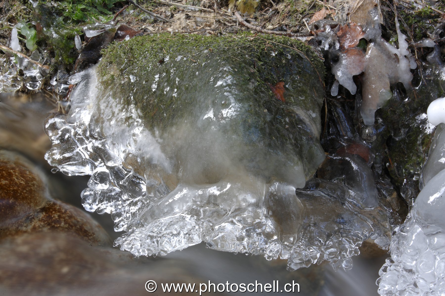 Photo 37