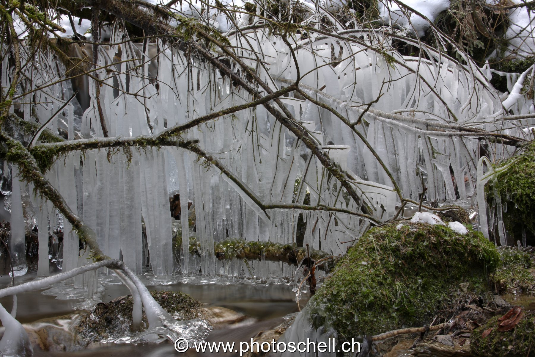 Photo 43