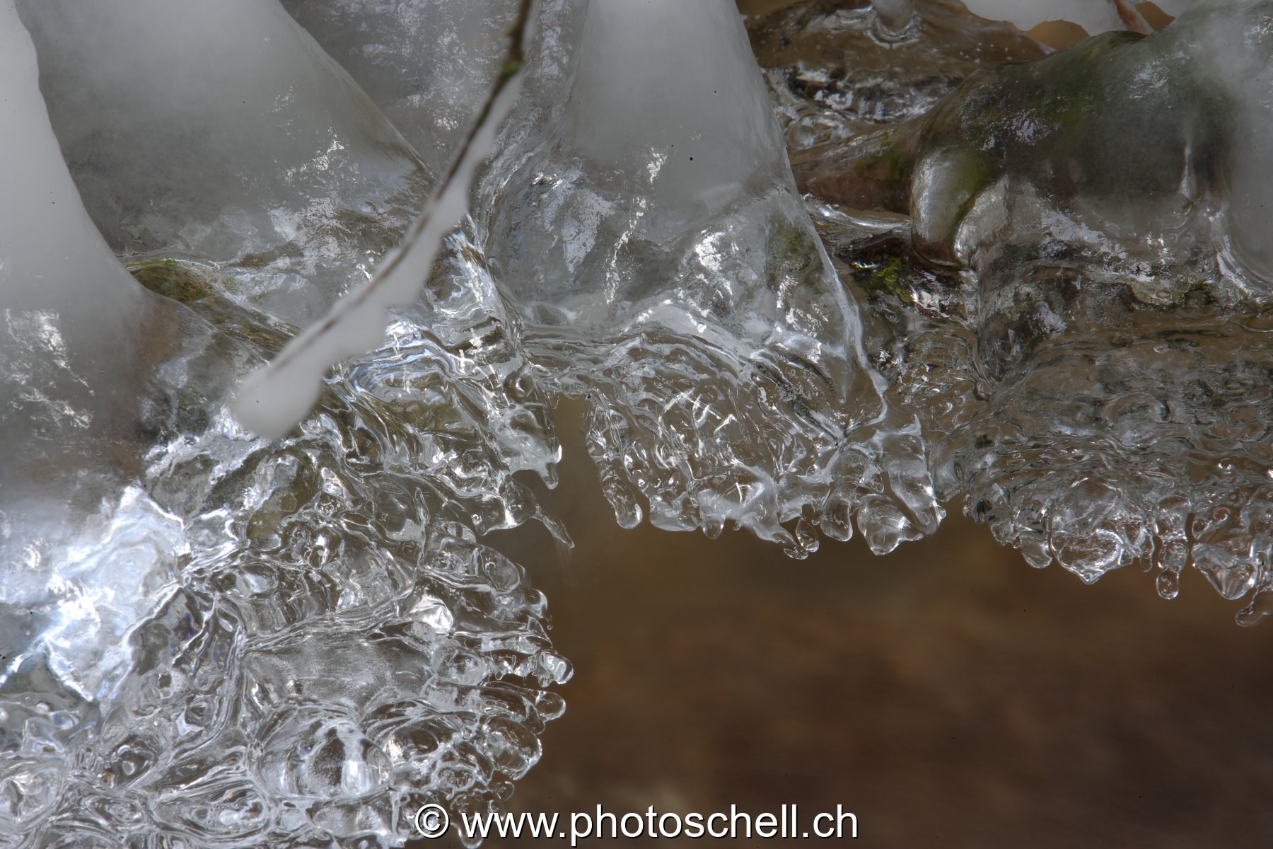 Photo 45