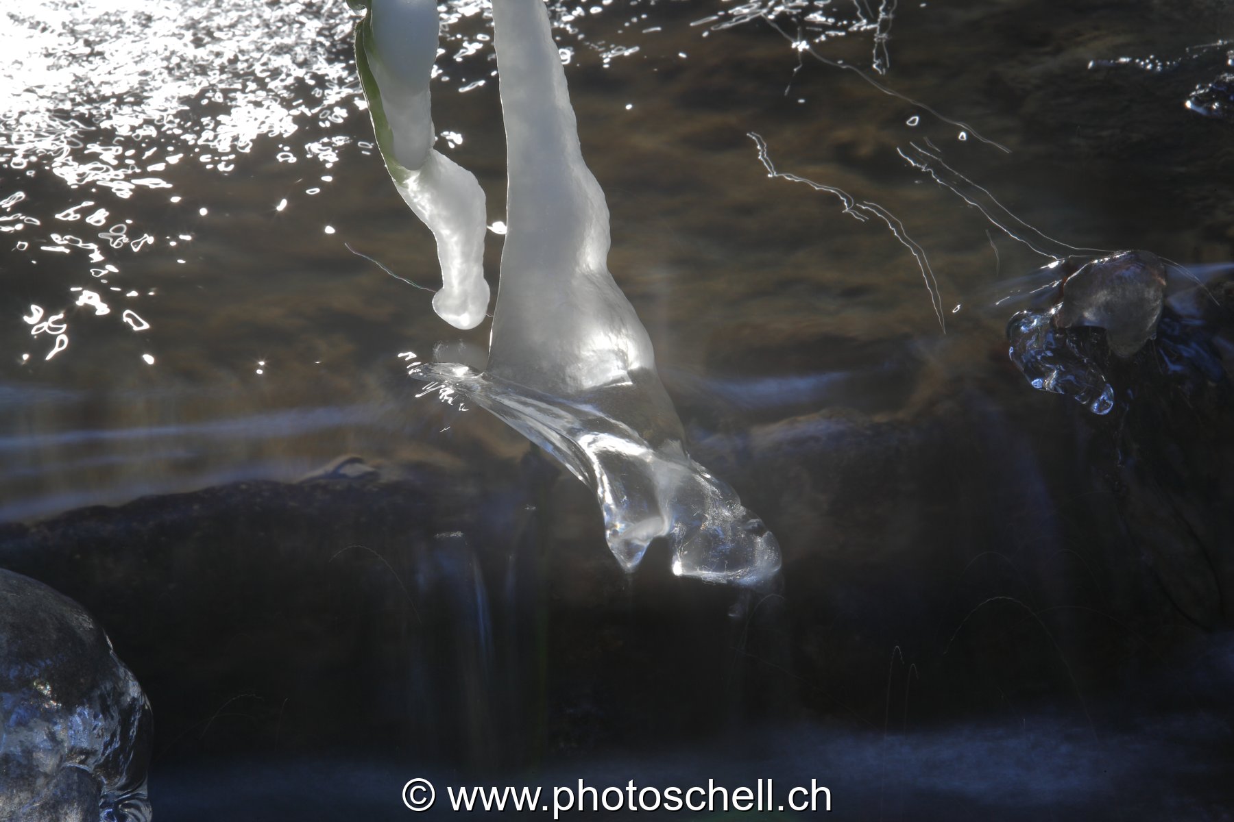 Photo 46