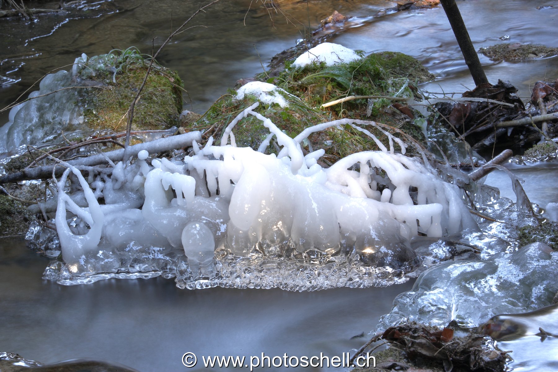 Photo 48