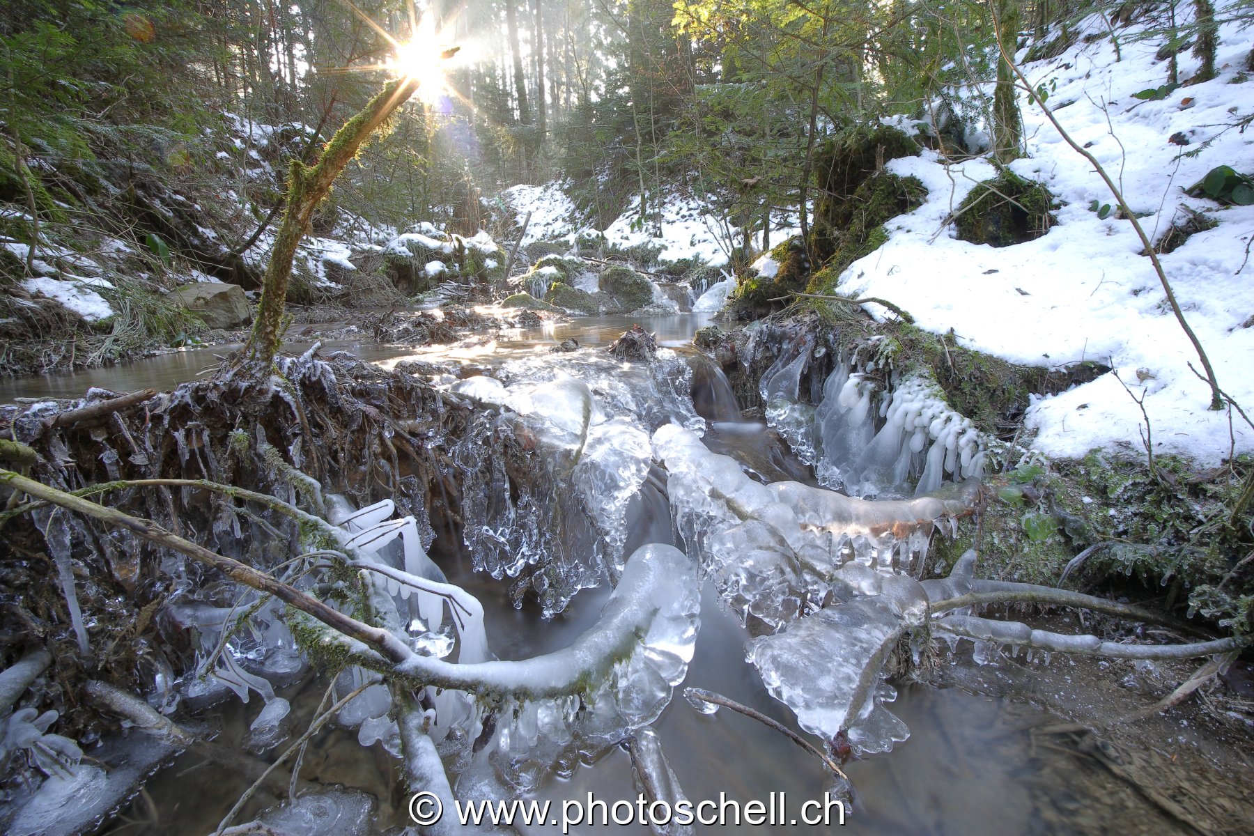 Photo 50