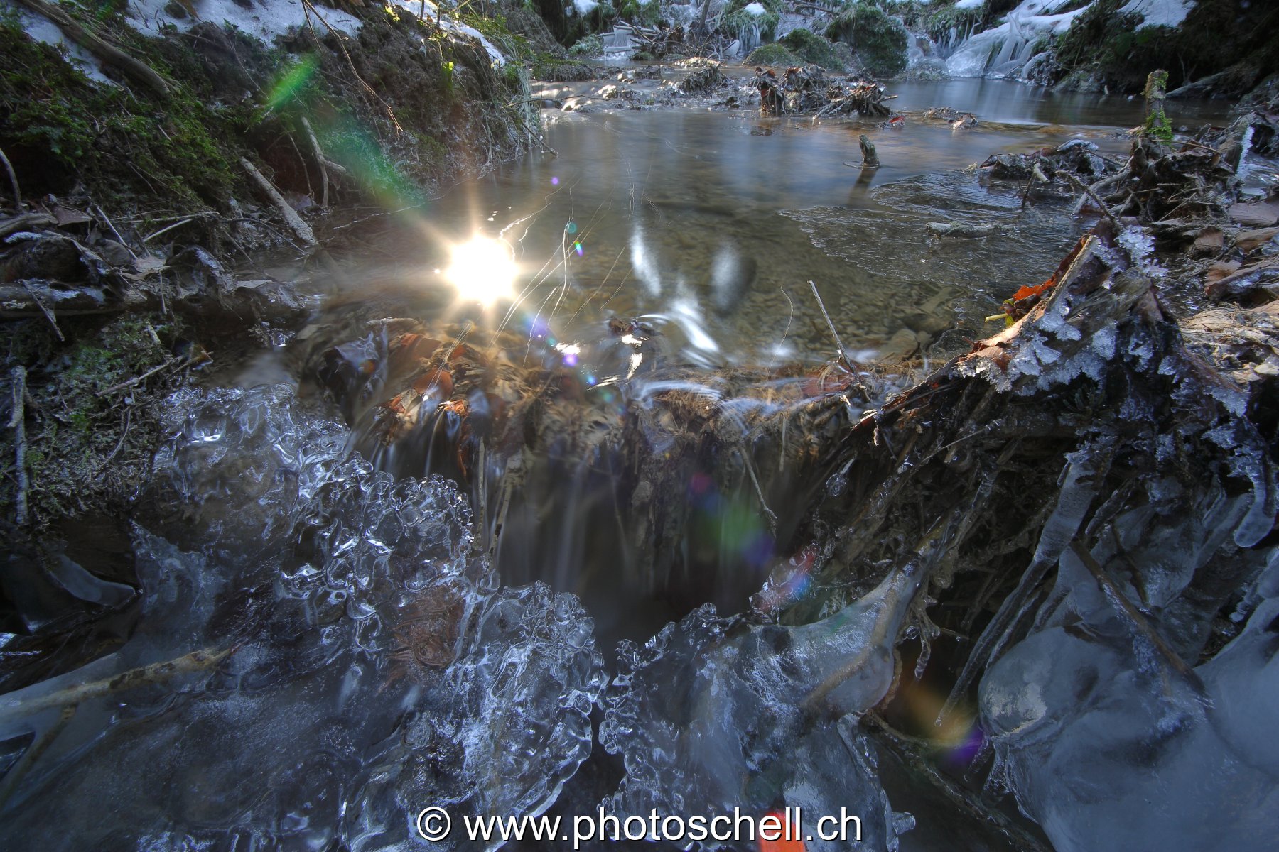Photo 52