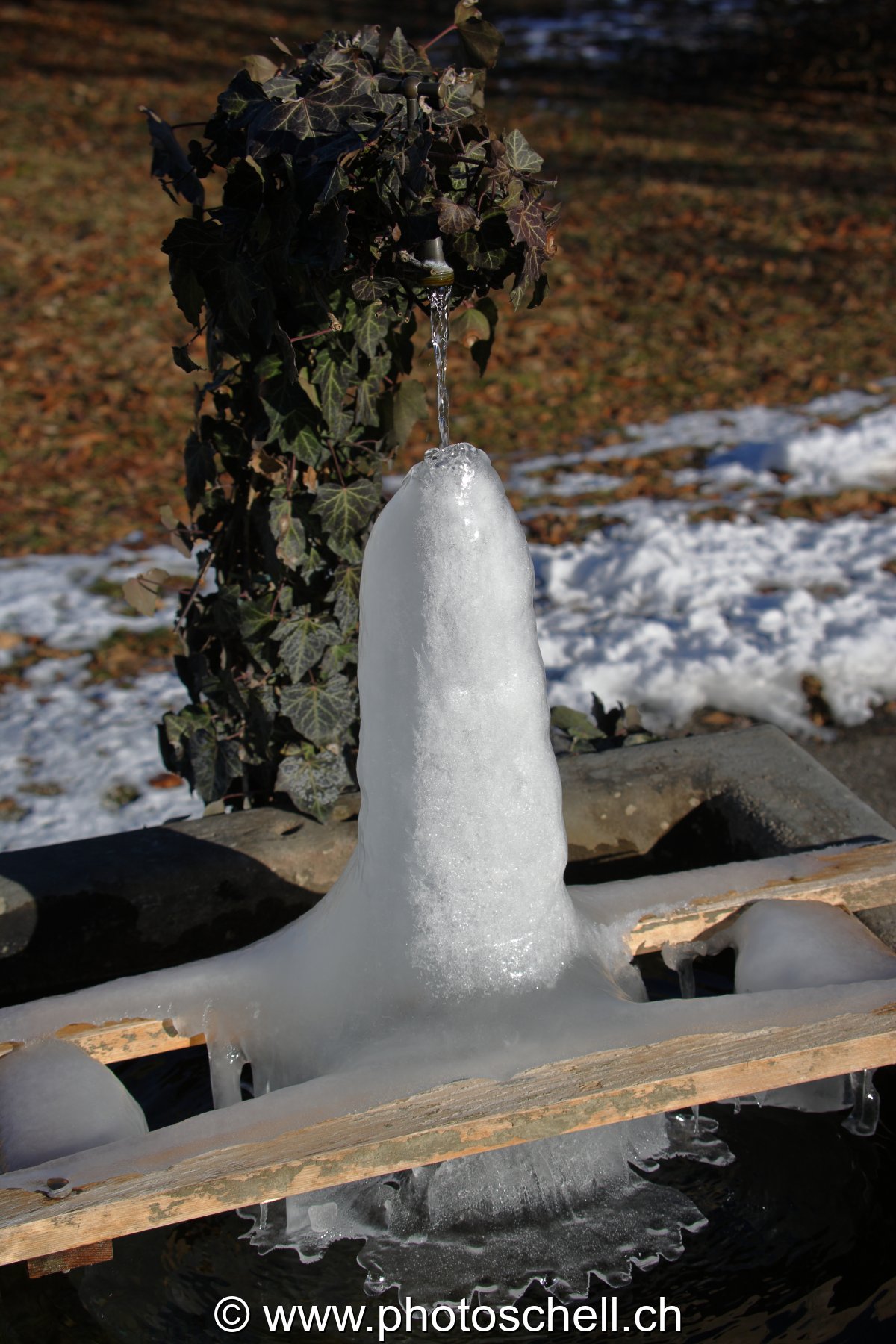 Fontaine gelée...