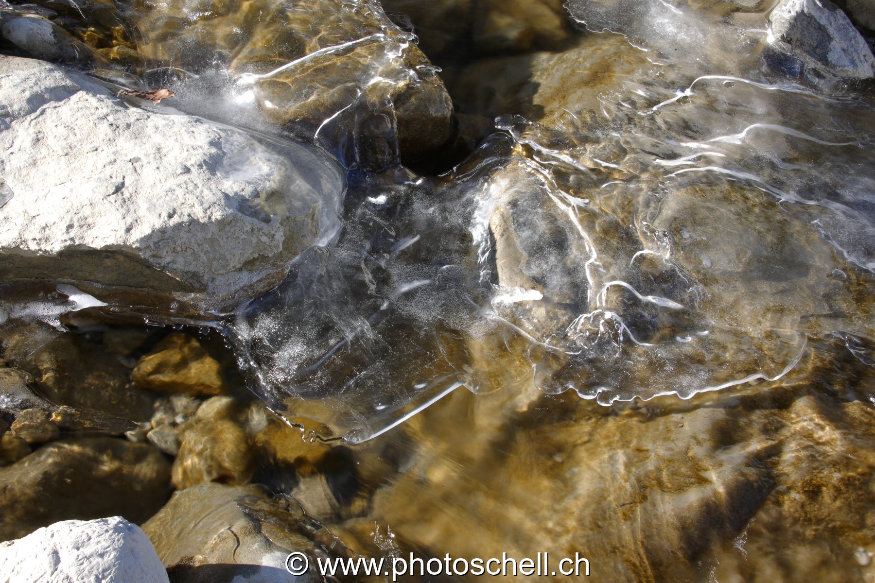 Transparence et glace