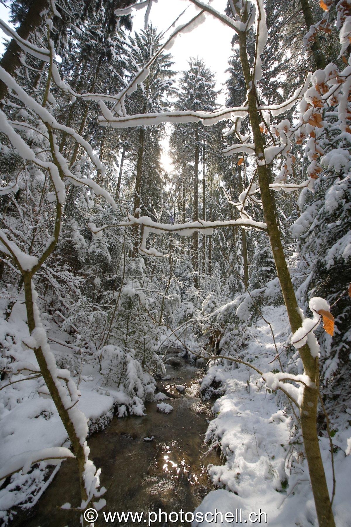 Paysage du ruisseau et ses environs