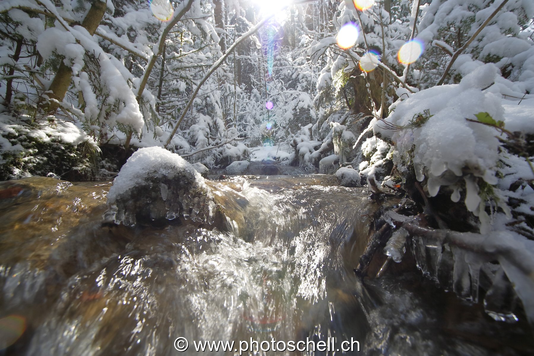 Cours d'eau en contreplongée et contre-jour...
