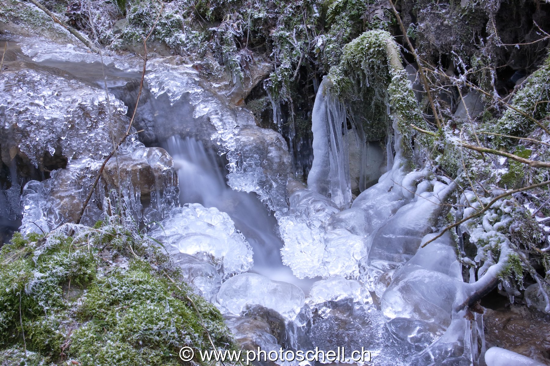 Sculptures de glaces au-dessus du ruisseau