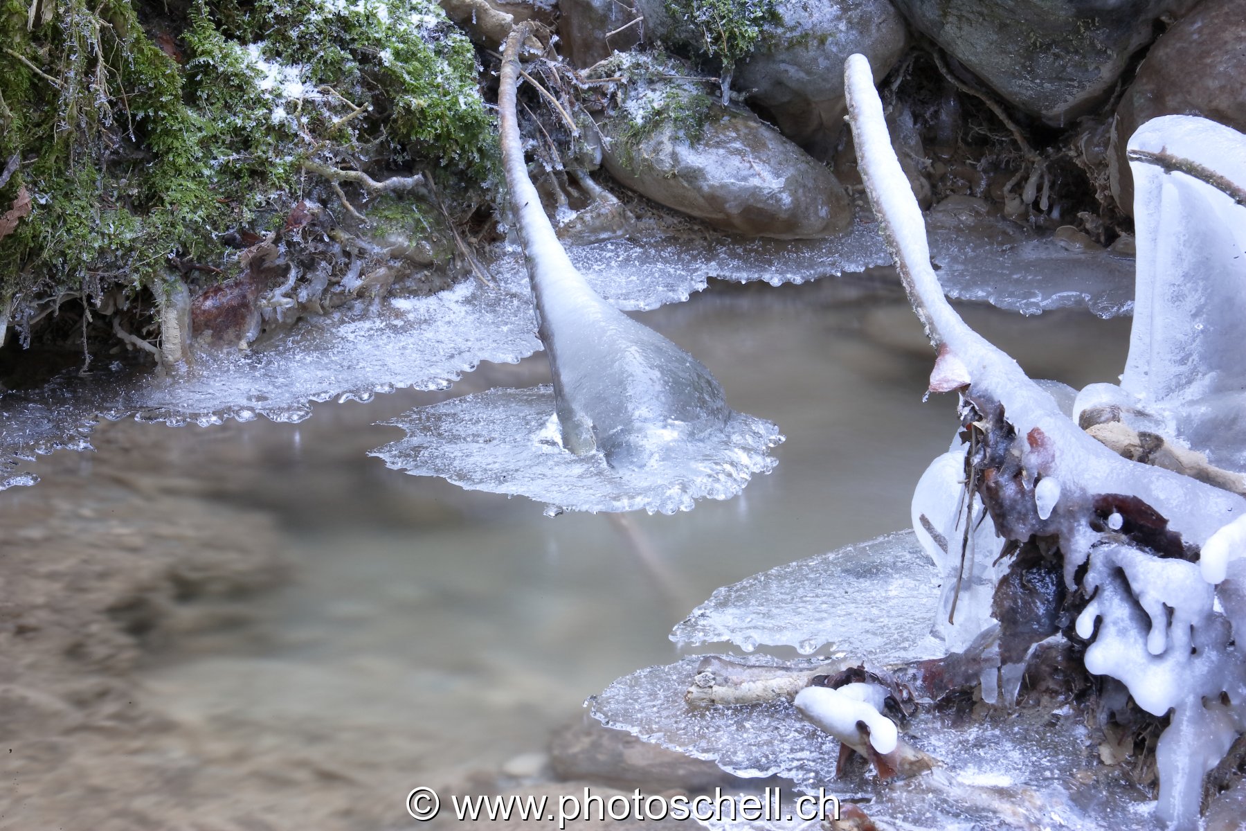 Sculptures de glaces au-dessus du ruisseau