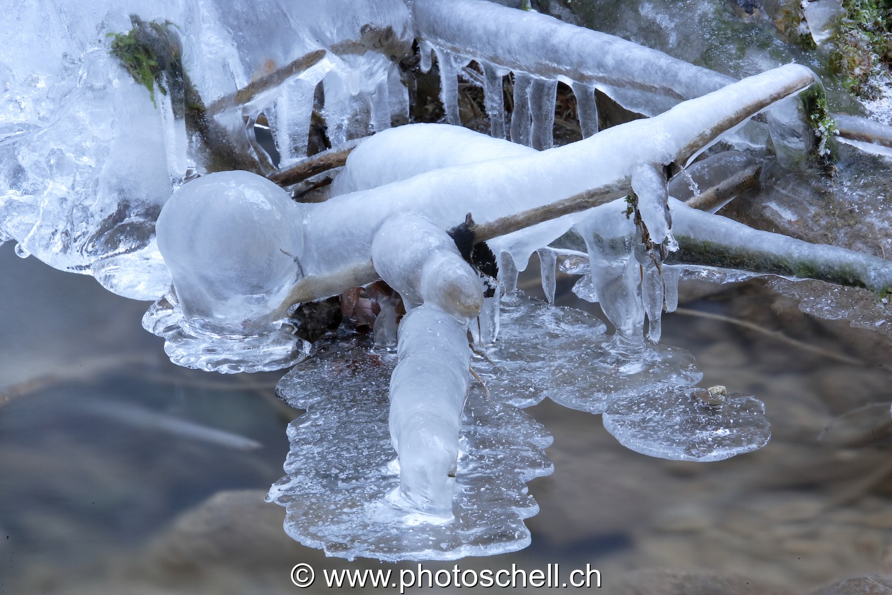 Spatule de glace